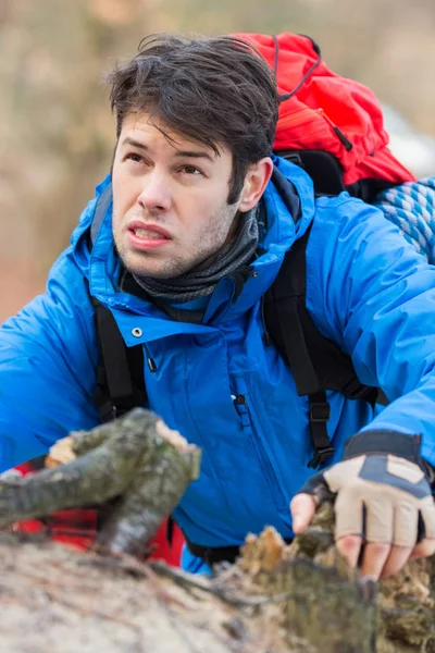 Backpacker hiking in forest — Stock Photo, Image