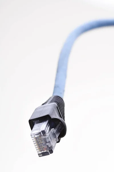 Один сетевой кабель — стоковое фото