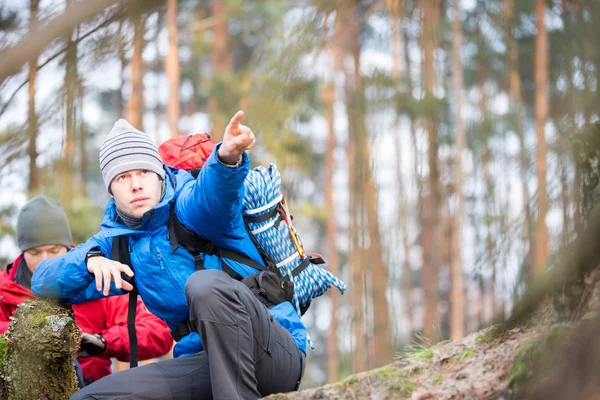 Turysta, wskazując w lesie — Zdjęcie stockowe