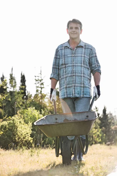 Male gardener pushing wheelbarrow — Stock Photo, Image