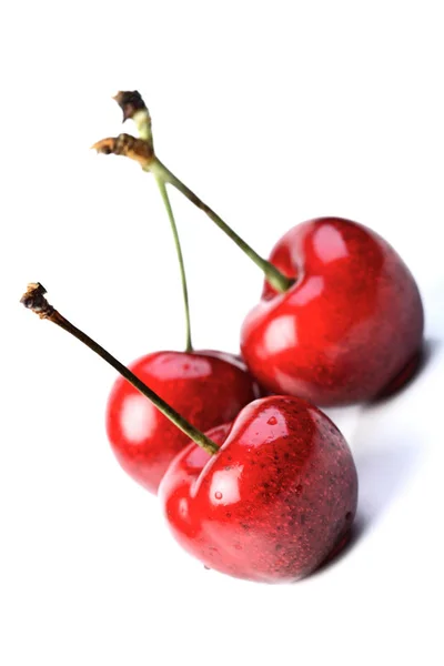 Fresh ripe cherries — Stock Photo, Image