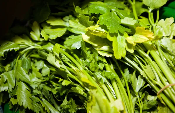 Fresh parsley leaves — Stock Photo, Image