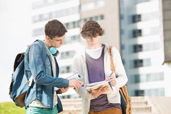 年轻的男大学生 — 图库照片