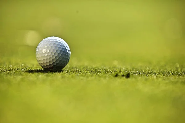 Pelota de golf en la hierba —  Fotos de Stock