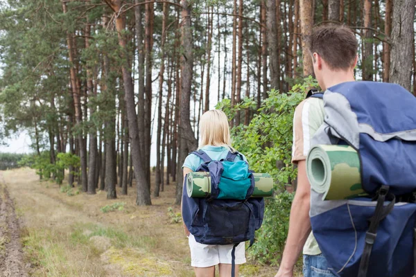 Backpackers promenader i skogen — Stockfoto