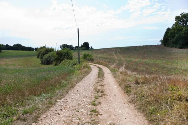 Route non goudronnée dans un champ herbeux — Photo