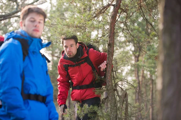 Mužské backpackers v lese — Stock fotografie