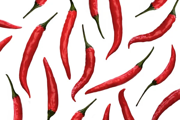 Čerstvé chilli papričky — Stock fotografie