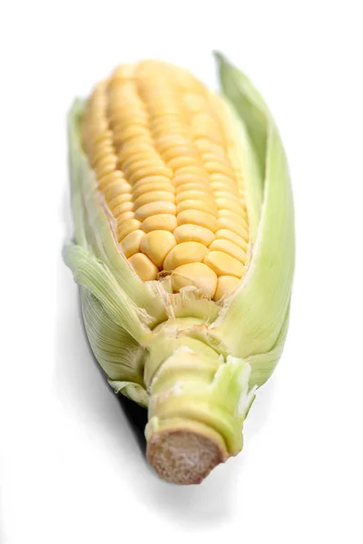 Čerstvé syrové kukuřice — Stock fotografie