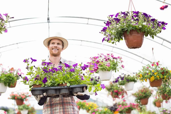 Jardinier tenant des pots de fleurs — Photo