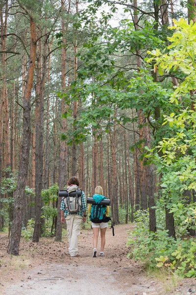 Coppia a piedi nella foresta — Foto Stock