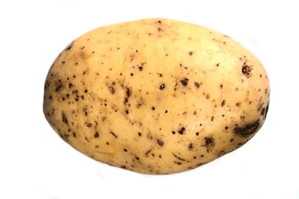 Nahaufnahme von frischen Kartoffeln — Stockfoto