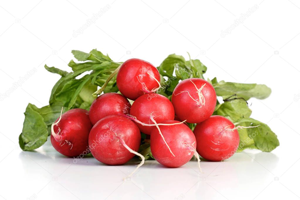 Fresh ripe radishes