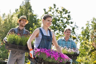 Gardeners carrying crates with flower pots clipart