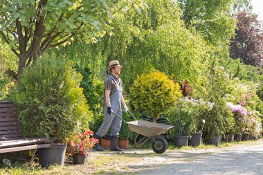 adam iterek el arabası 
