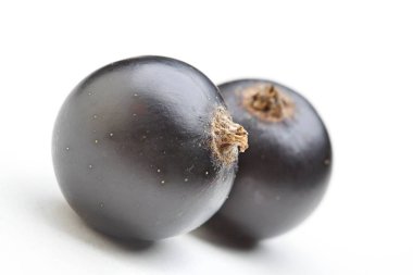 Taze olgun siyah kuş üzümü