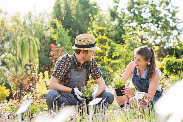 Trädgårdsmästare pratar på anläggningen plantskola — Stockfoto