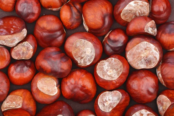 Chestnuts on wooden background — Stock Photo, Image