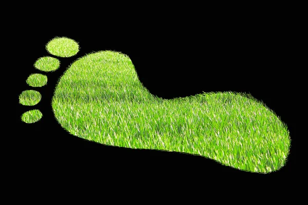 Gröna gräsbevuxna fotavtryck — Stockfoto