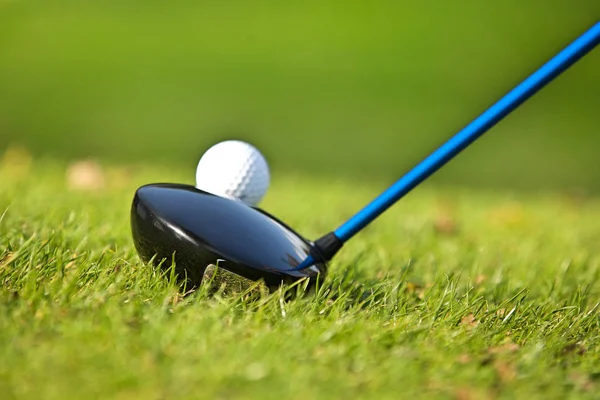 En golfklubb och bollen — Stockfoto