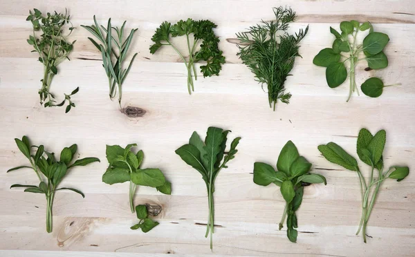 Herbs on wooden background — Stock Photo, Image