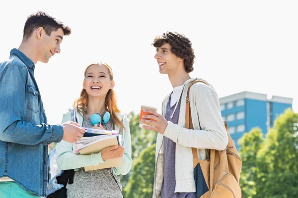 Glückliche Universitätsstudenten im Gespräch — Stockfoto