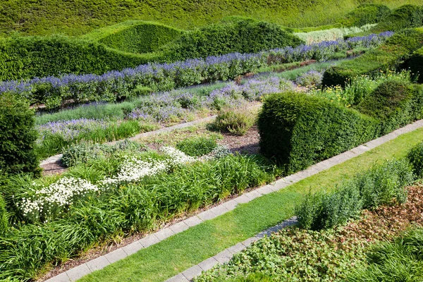 Beautifully designed hedges — Stock Photo, Image