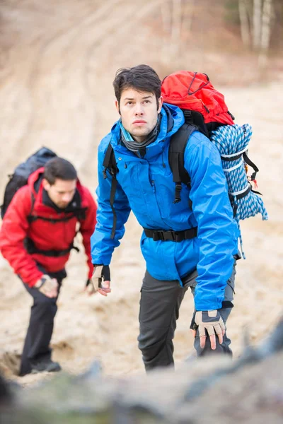 Backpackers hiking in forest — Stock Photo, Image