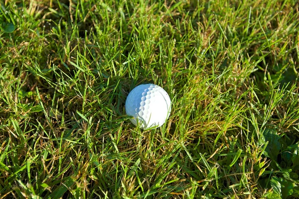 Μπάλα του γκολφ σε βρεγμένο χορτάρι — Φωτογραφία Αρχείου
