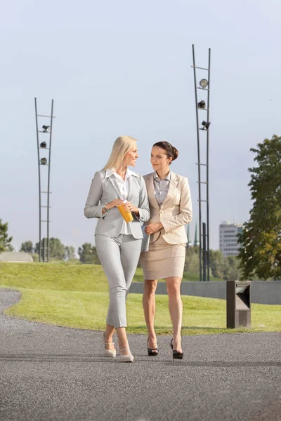 Businesswomen con taza desechable y portátil — Foto de Stock