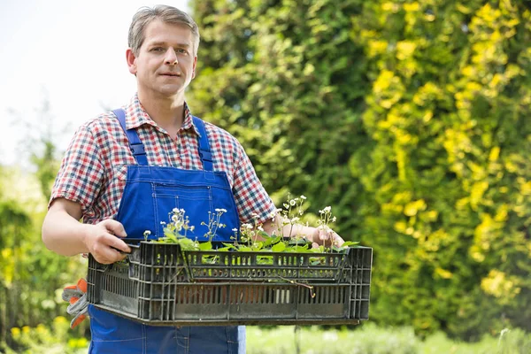 Jardinero sosteniendo plantas en maceta — Foto de Stock