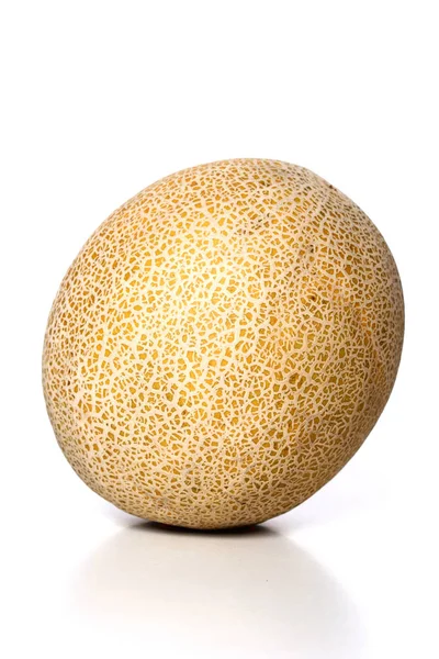 Fresh ripe melon — Stock Photo, Image