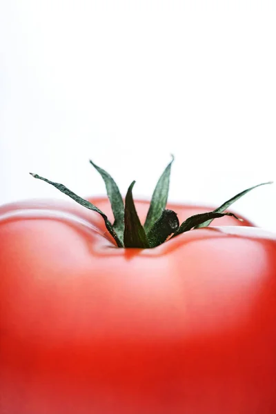 Verse rijpe tomaat — Stockfoto