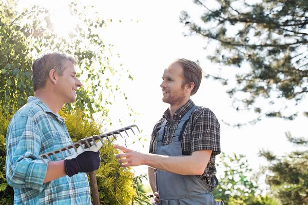 Jardineros masculinos conversando — Foto de Stock