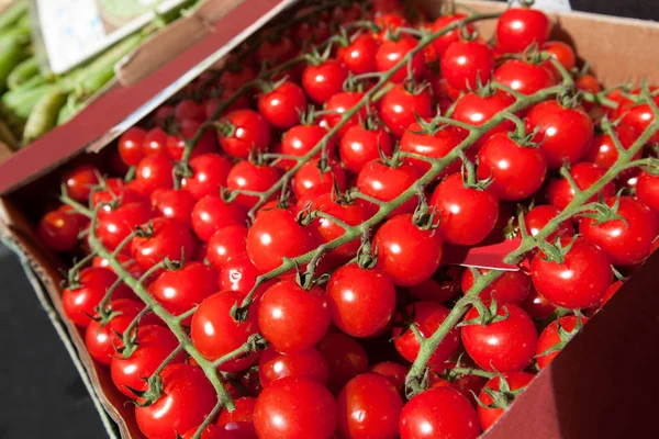 Verse tomaten in winkel — Stockfoto