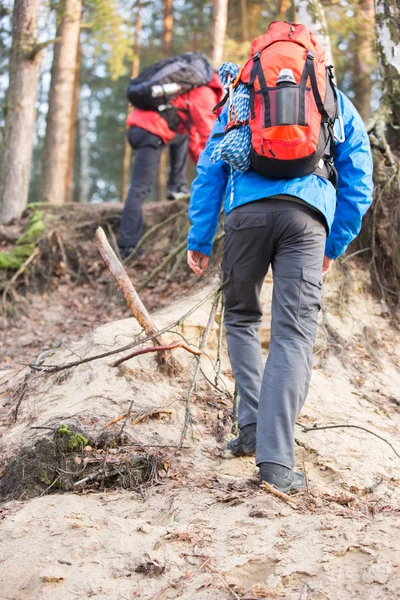 Backpackers πεζοπορία στο δάσος — Φωτογραφία Αρχείου