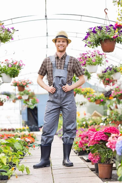 Glücklicher Gärtner steht im Gewächshaus — Stockfoto