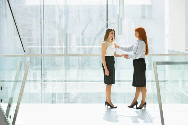 Geschäftsfrauen beim Händeschütteln — Stockfoto