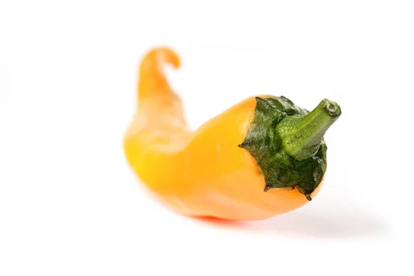 Оранжевый перец чили — стоковое фото