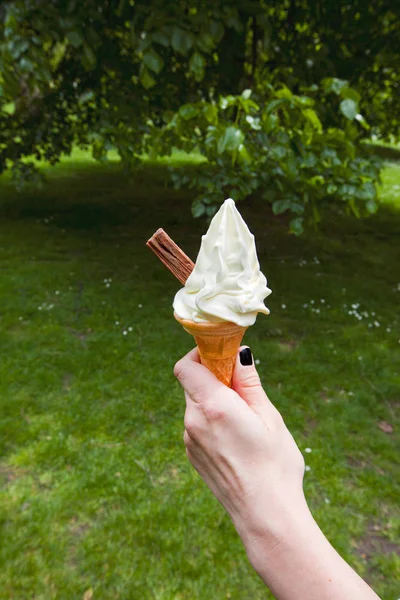 Hand holding ice cream — Stock Photo, Image