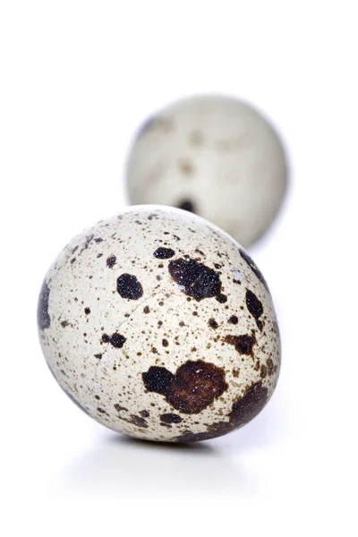 Raw quail eggs — Stock Photo, Image