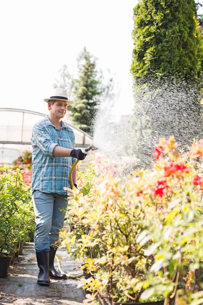 Uomo irrigazione piante — Foto Stock