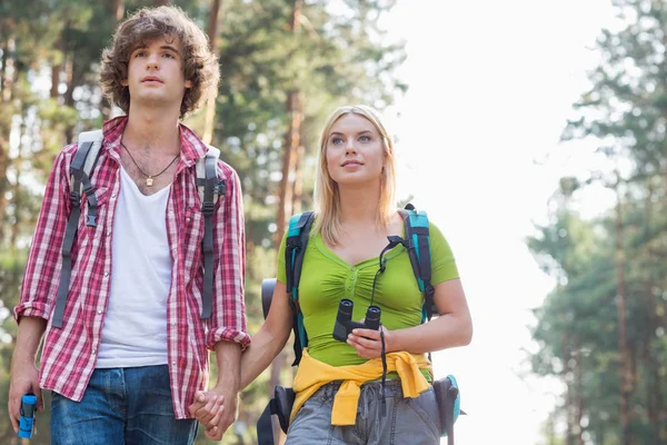 Couple randonnée en forêt — Photo