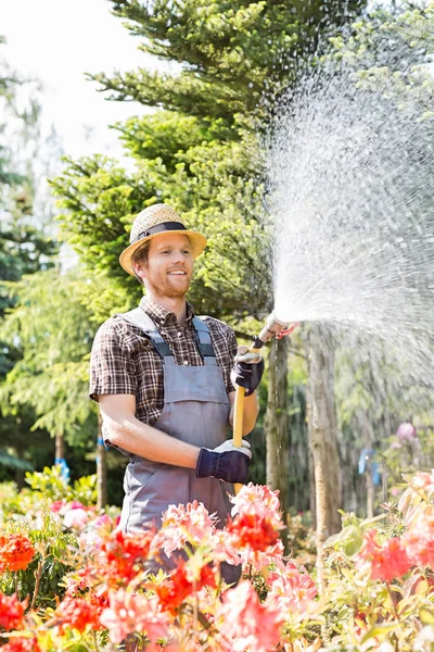 Чоловічий садівник поливає рослини — стокове фото