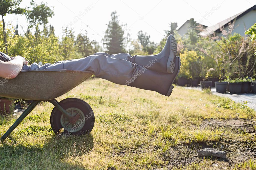 Man relaxing in wheelbarrow