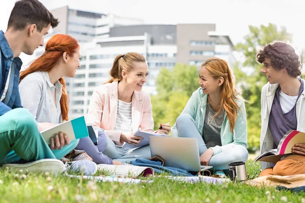 Estudiantes universitarios estudiando sobre hierba — Foto de Stock