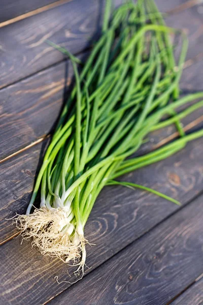 Close up of fresh chives — Stock Photo, Image