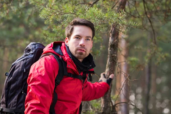 Männlicher Backpacker im Wald — Stockfoto