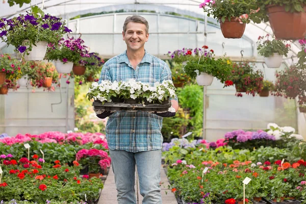 Trädgårdsmästare transporterar låda med blomkrukor — Stockfoto