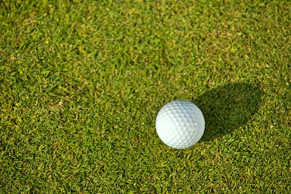 Golfbal op gras — Stockfoto